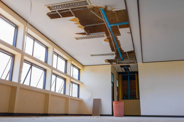 Best Fire Damage Restoration  in Springfield, MO