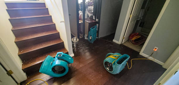 Reliable Springfield, MO Water damage restoration Solutions