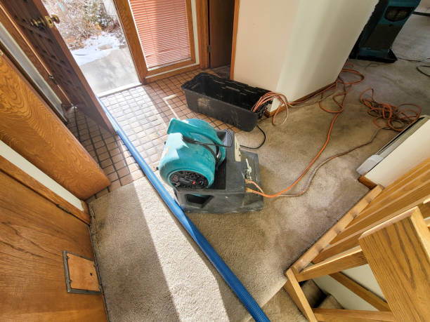 Best Flooded house restoration  in Springfield, MO