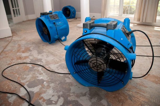 Best Flood damage cleanup  in Springfield, MO
